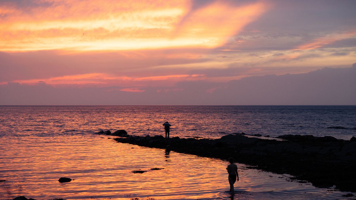 Rapport annuel de la présidente du conseil d'administration