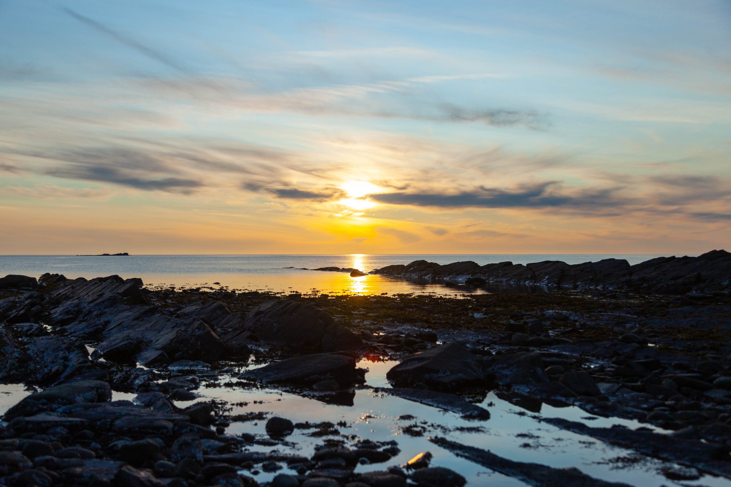 C'est pas faute d'avoir espéré : annulation du festival 2020