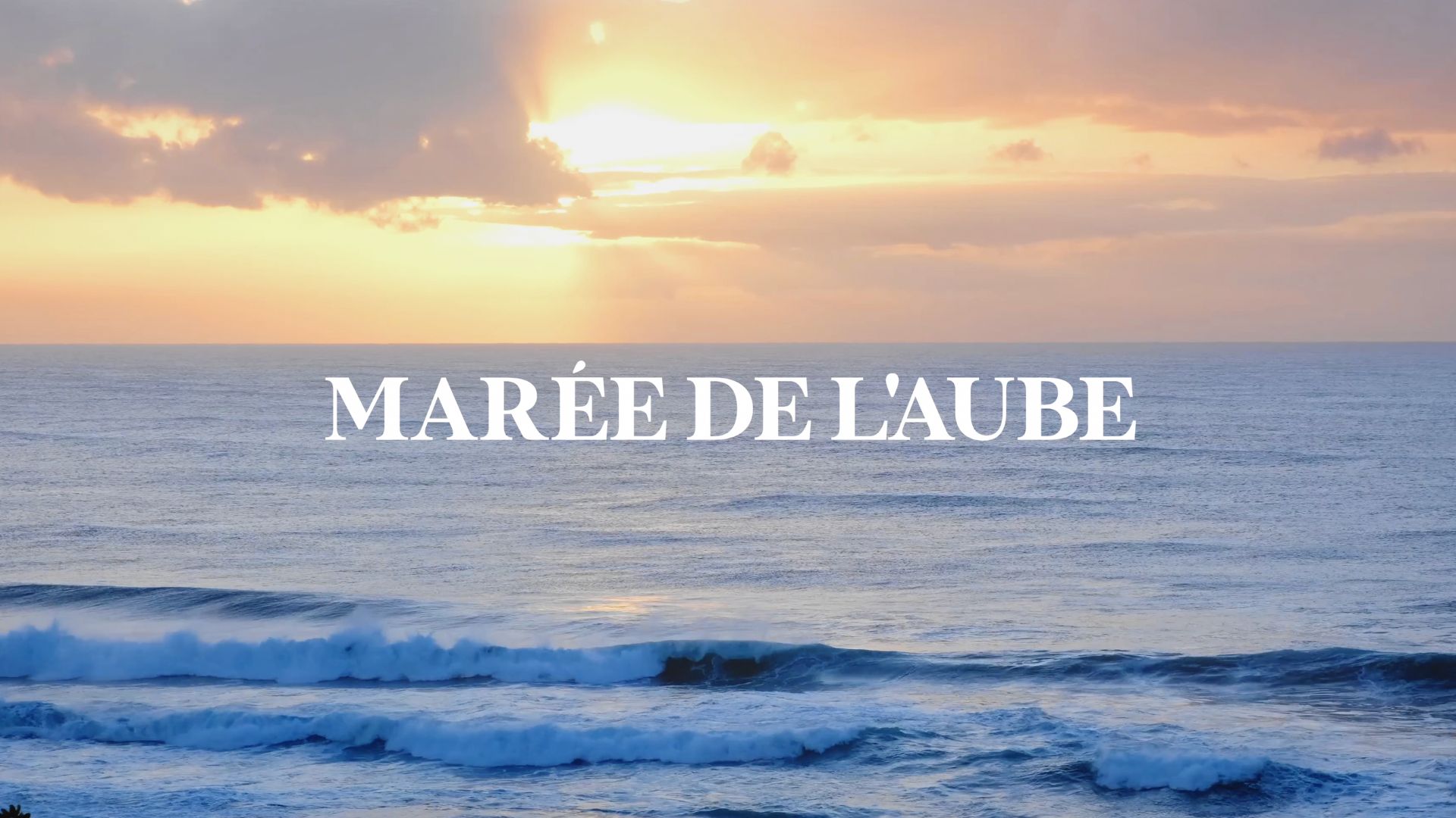 En vidéo : La Marée de l'Aube - un concert unique présenté lors du Festival en chanson