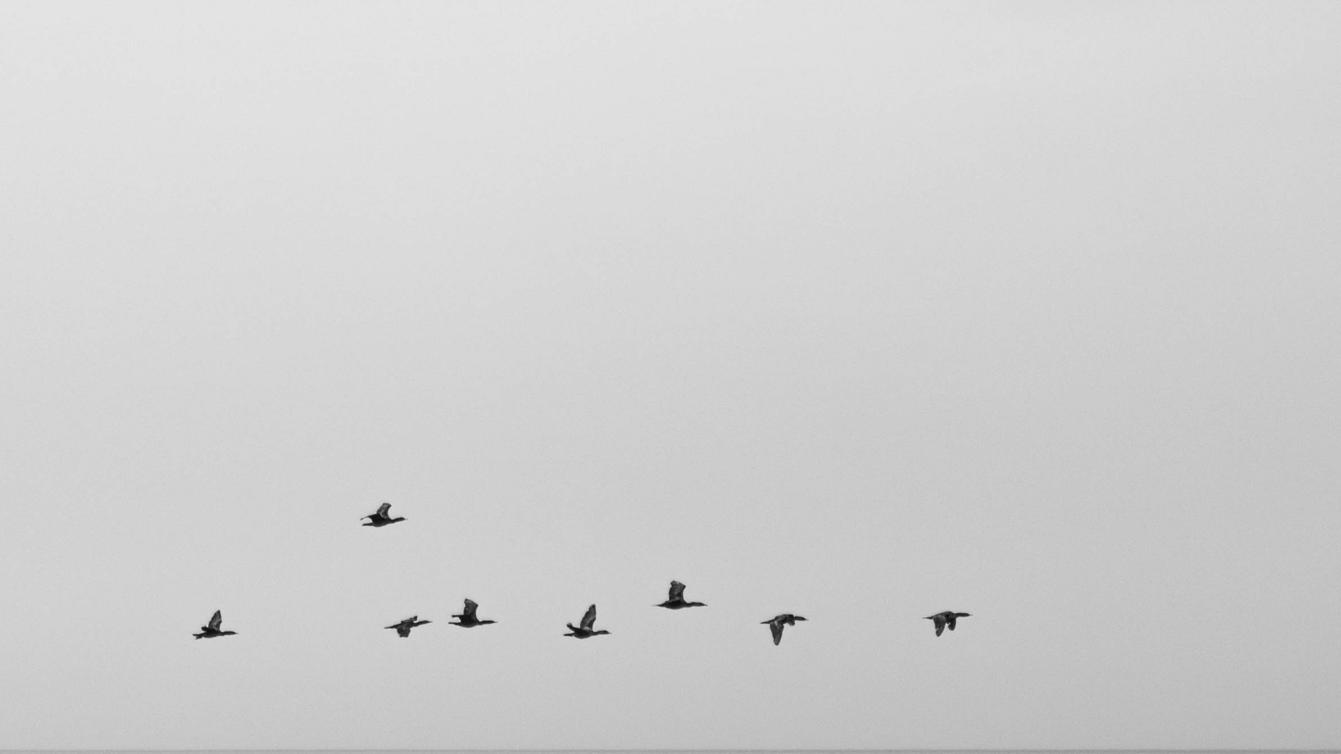 Une programmation automnale qui invite au grand air